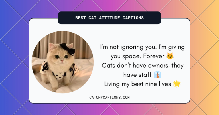 Cat Attitude