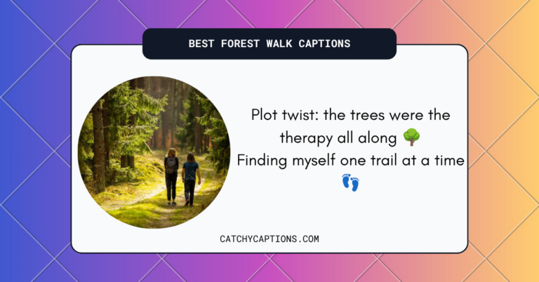 Forest Walk