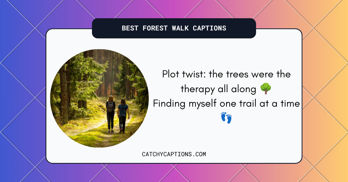 Forest Walk