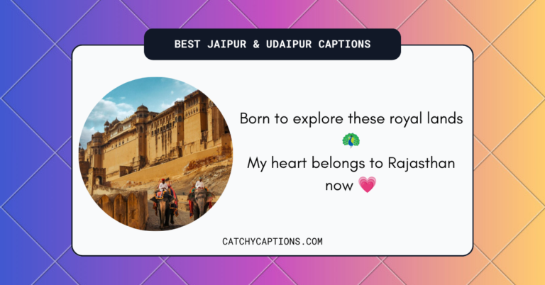 Jaipur & Udaipur